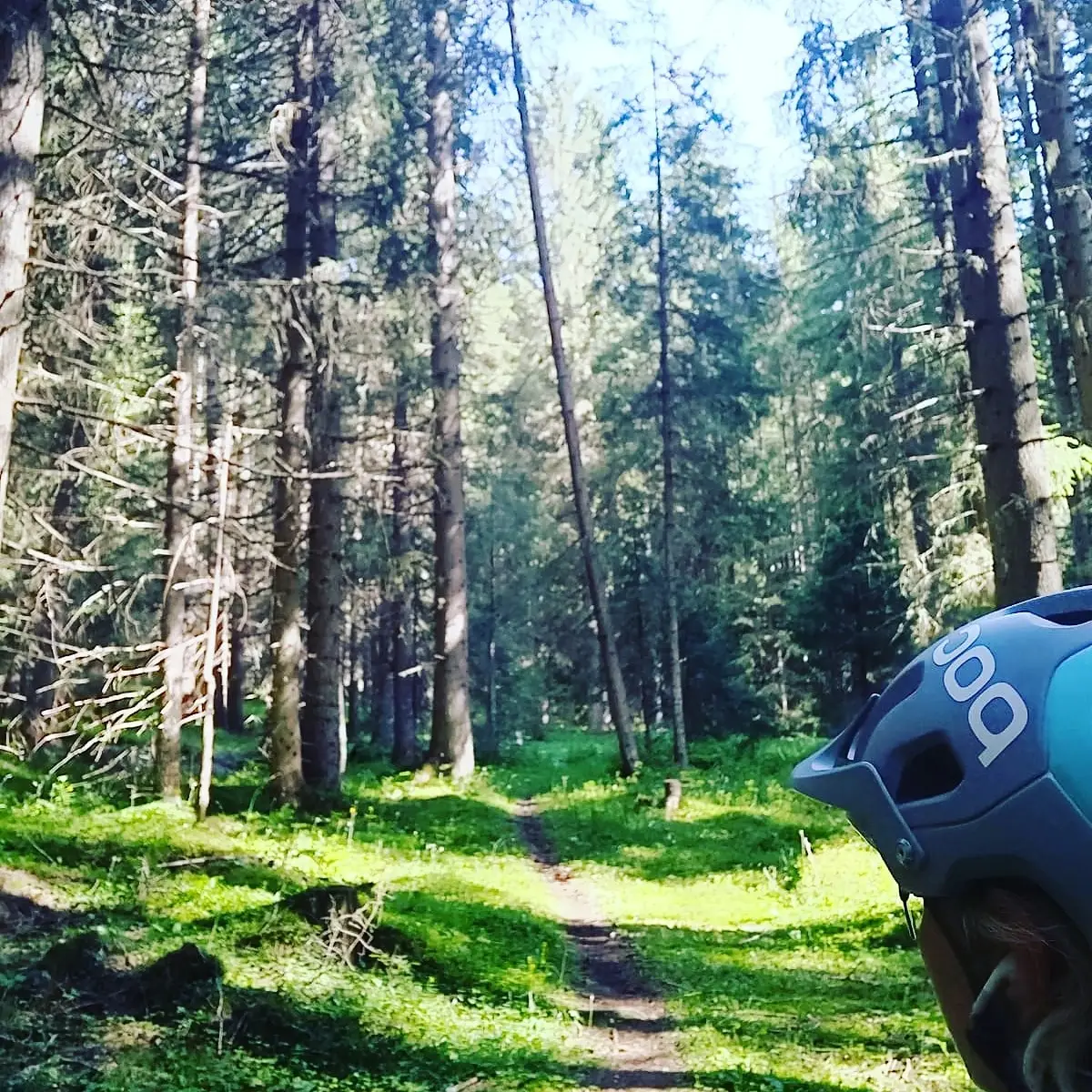 Singletrack nel bosco visto dalla sella, con un casco POC in primo piano