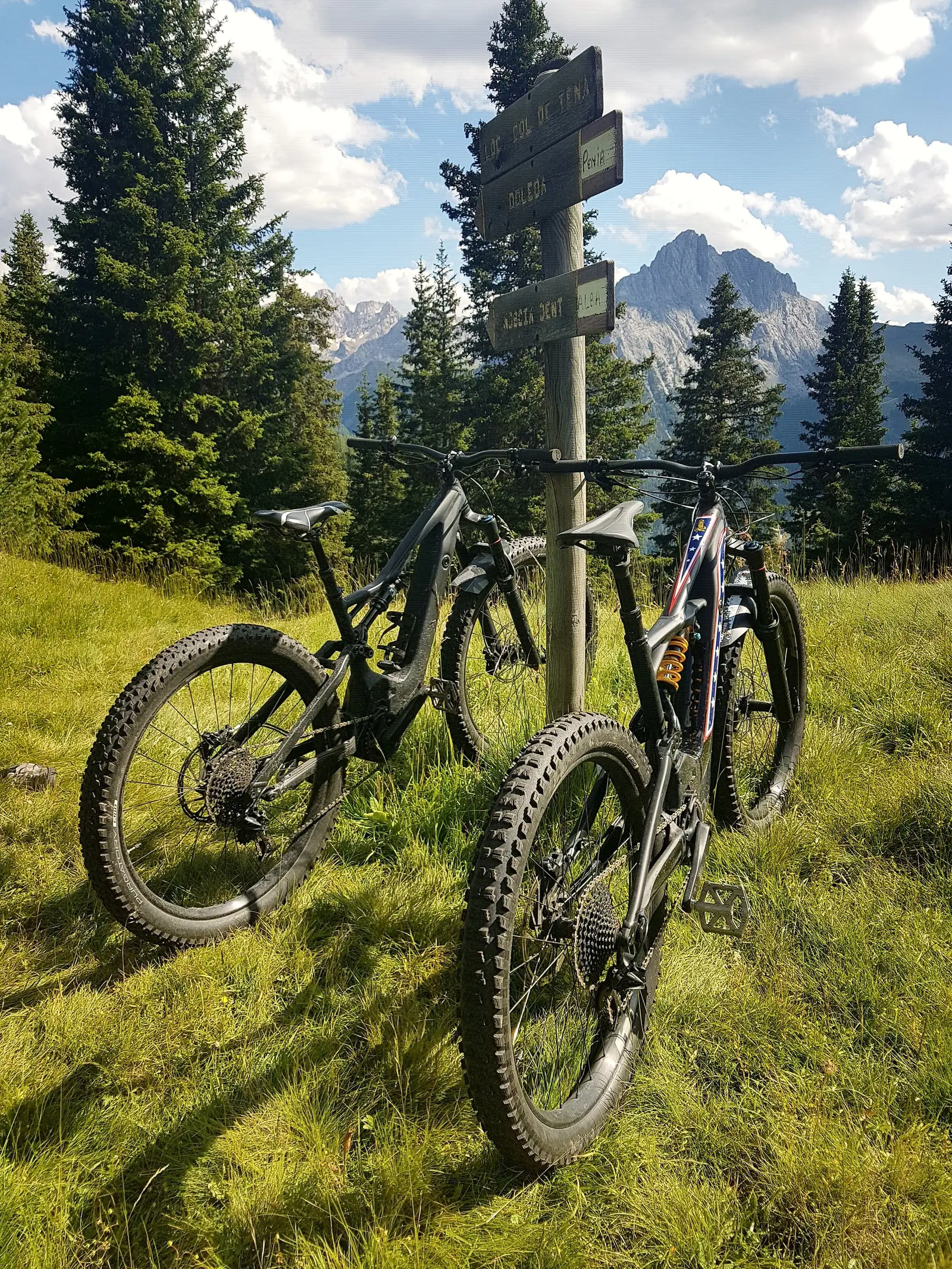 Zwei E-Bikes auf einer Wiese zwischen Tannen