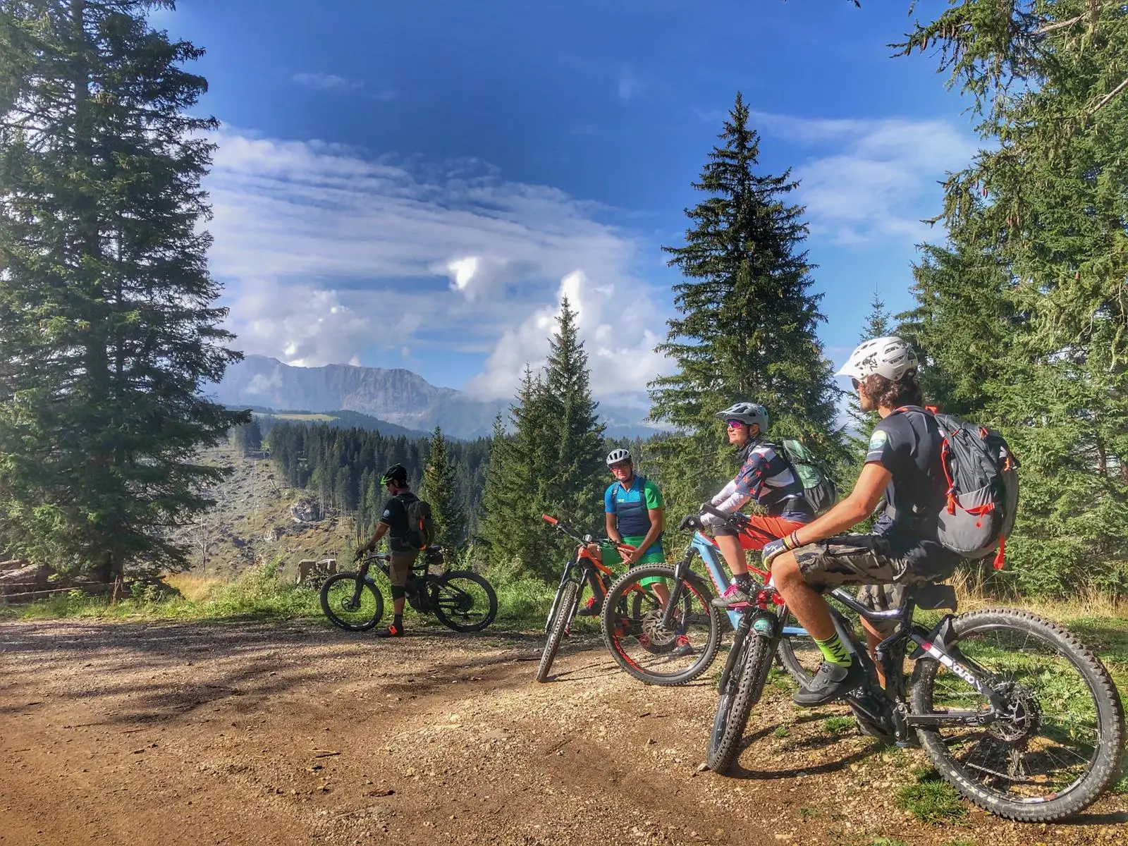 Group of four mountain bikers on a forest gravel road among pine trees, blue sky