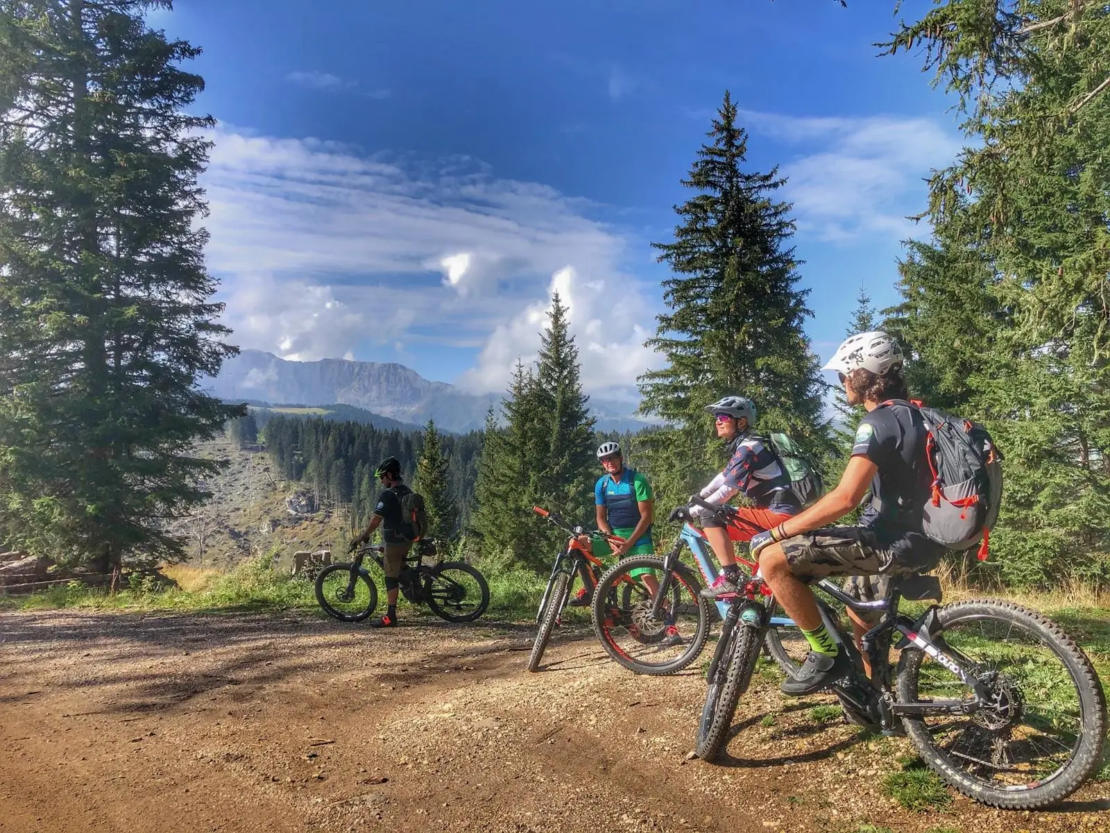 Gruppo di biker su una strada forestale