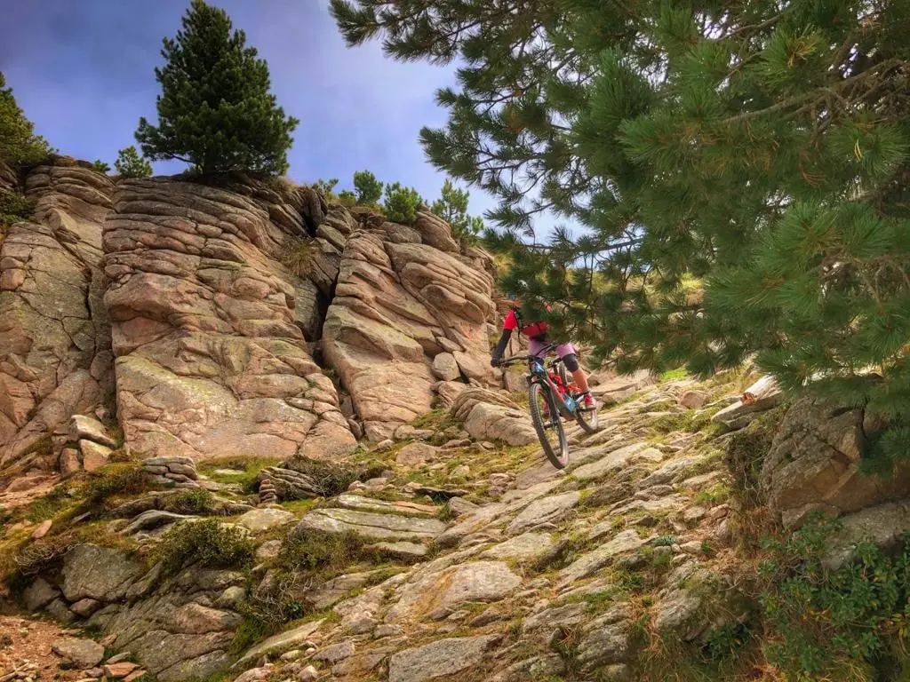 Biker su un sentiero roccioso nel bosco