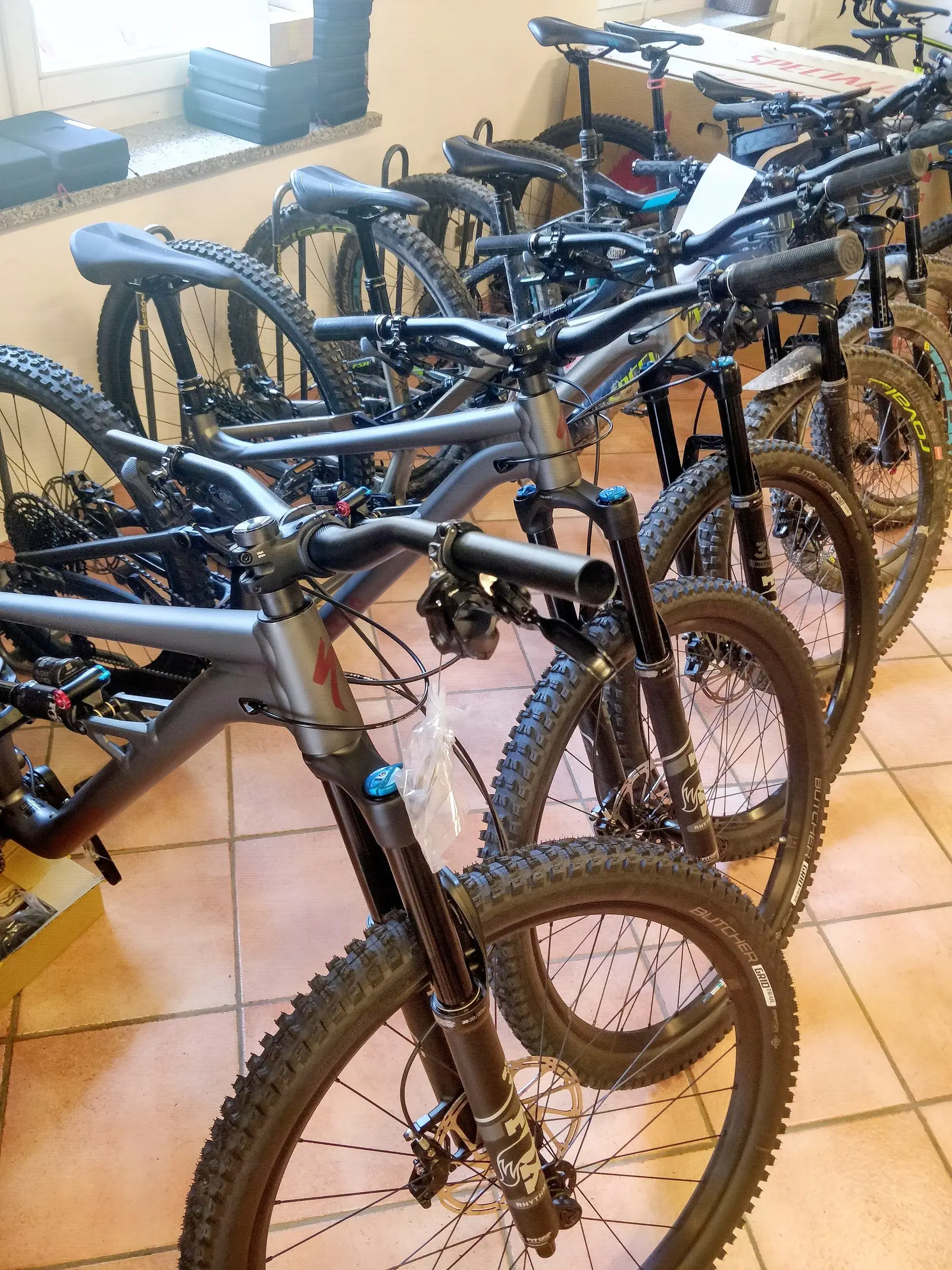 E-bike a noleggio in fila nel negozio