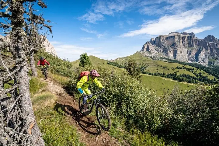 Due ciclisti in MTB su un singletrack tra arbusti alpini, con il Gruppo del Sella sullo sfondo