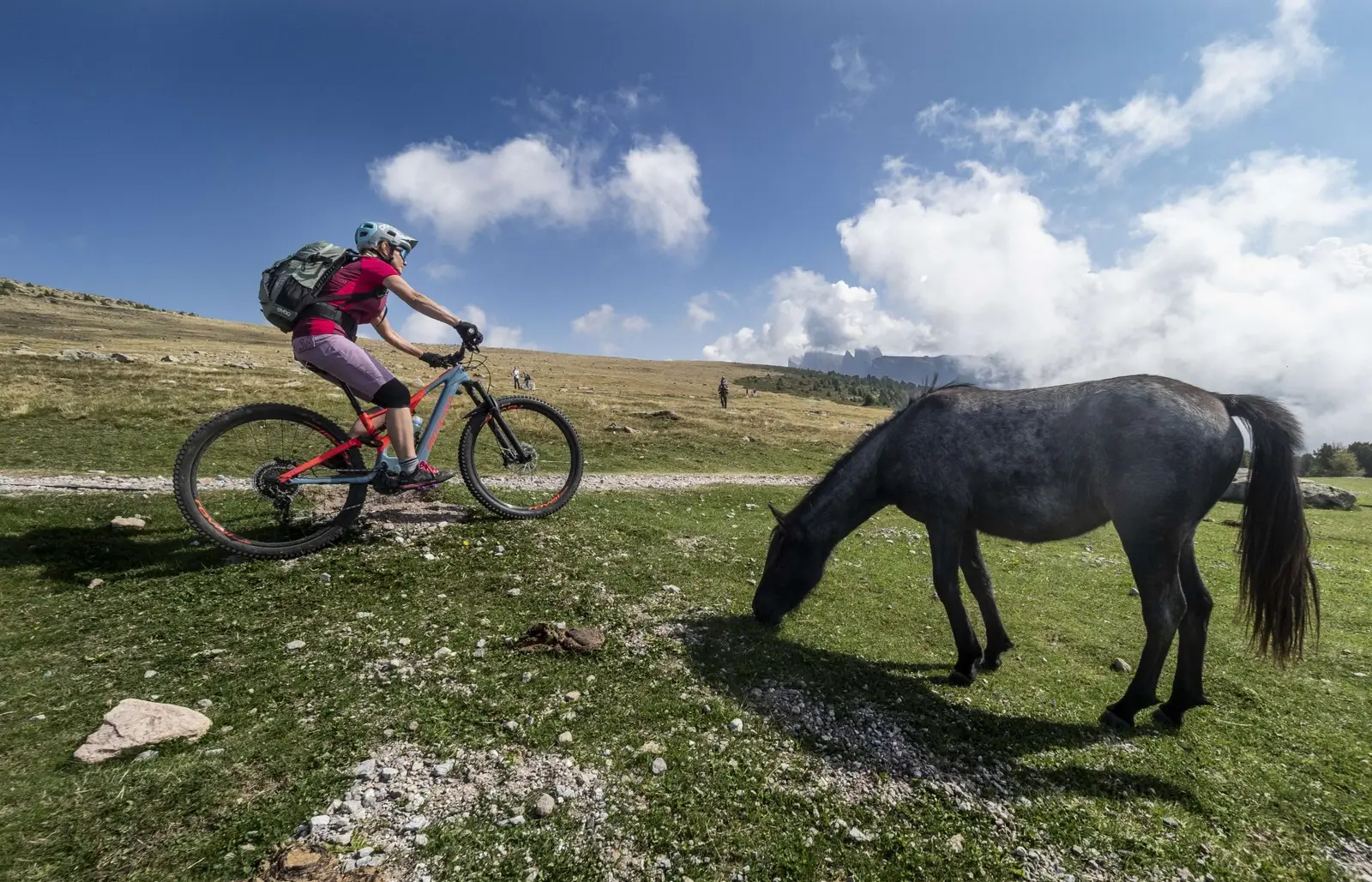 E-MTB-Fahrerin passiert ein grasendes schwarzes Pferd auf einer Alm