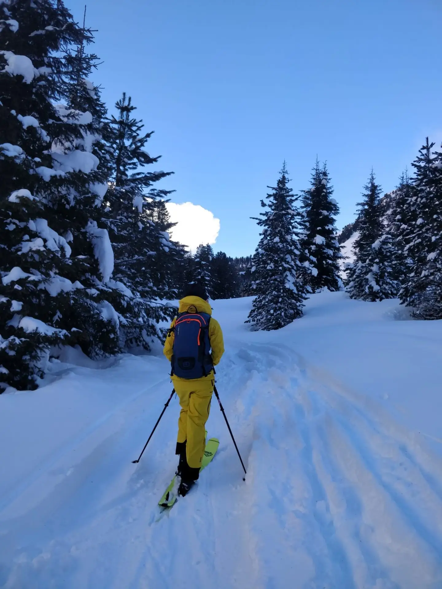 Scialpinista in tuta gialla su un sentiero innevato nel bosco